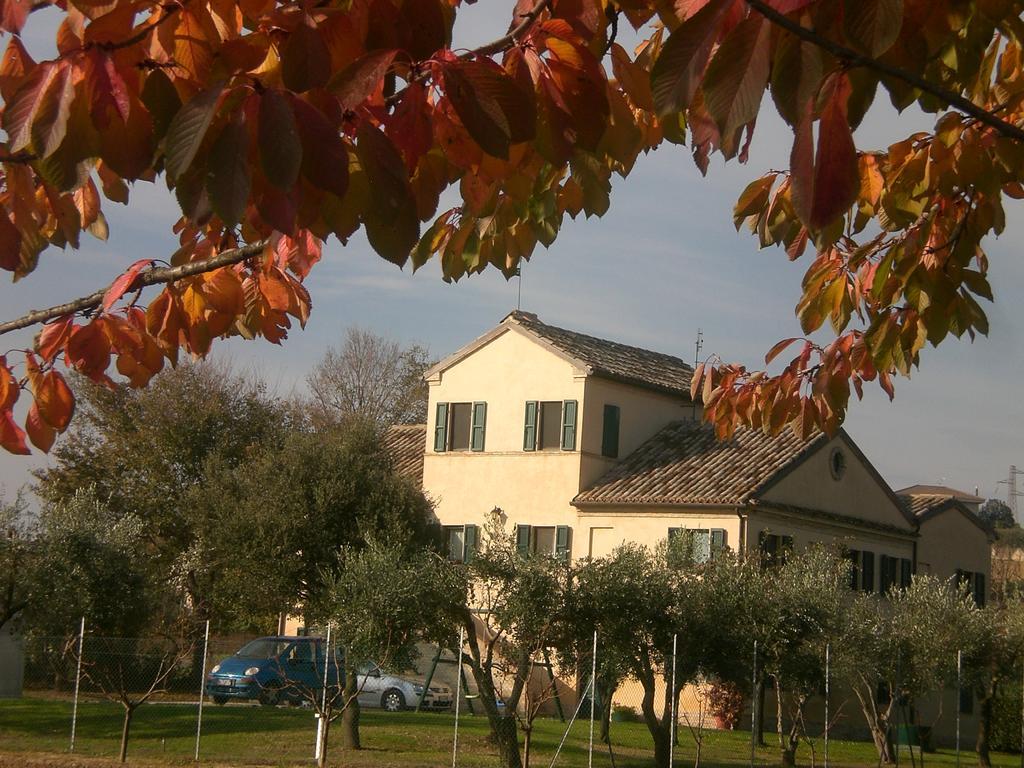 I Ciliegi Bed & Breakfast Osimo Luaran gambar